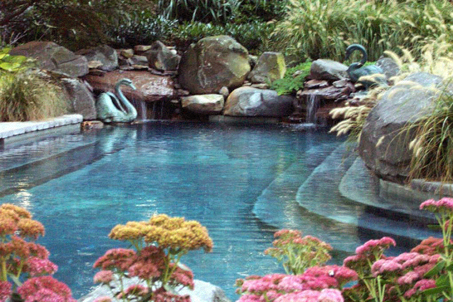 Natural Swimming Pool Waterfalls Maryland Contractor from Creative